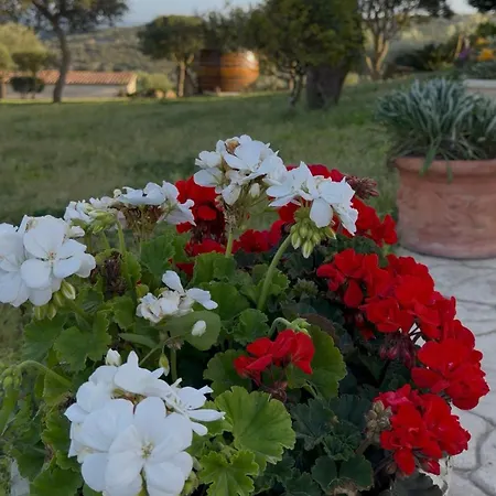 Bed and Breakfast Casteldoria 3*